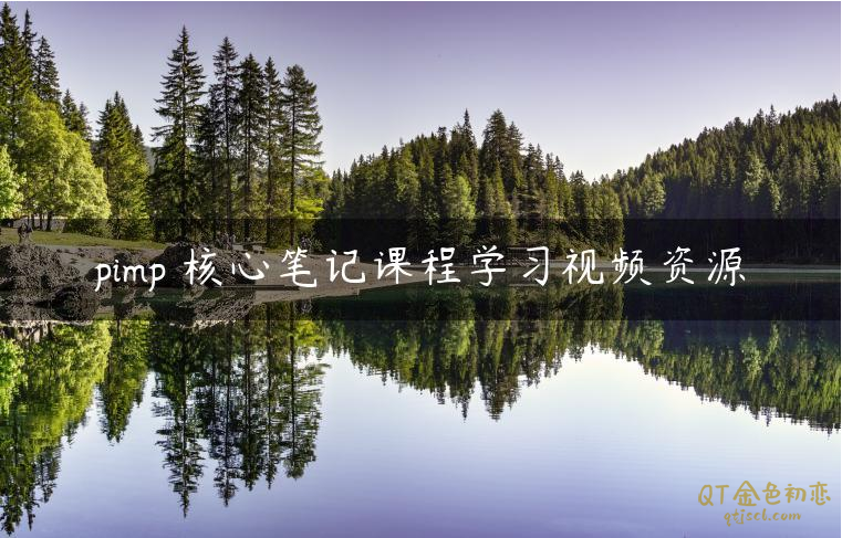 朱利安《pimp 核心笔记》-金色初恋