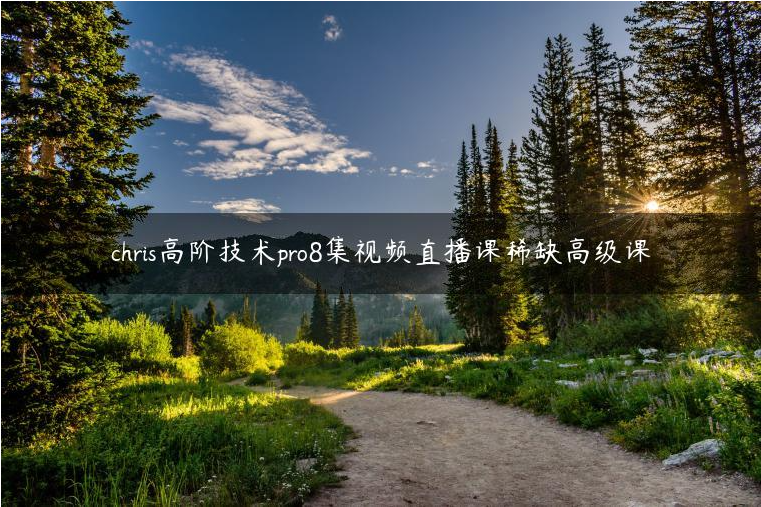 Chris 《高阶技术pro》8集视频直播课稀缺高级课-金色初恋