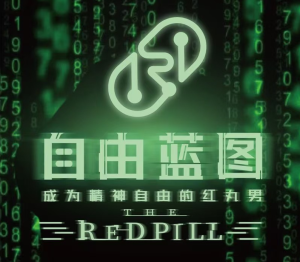 Chris 《红丸会员4.0自由蓝图》2022-金色初恋