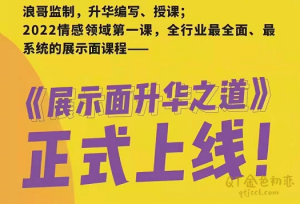 浪迹情感《展示面升华之道》全行业最系统全面的展示面课程-金色初恋