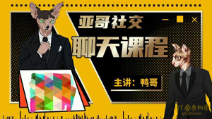 鸭哥《聊天课程》恋爱聊天模型全流程,一步一步详解-金色初恋