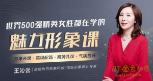 王沁云《魅力形象课》迪丽热巴形象私教，价值百万的气质改造，让你蜕变为职场女神-金色初恋