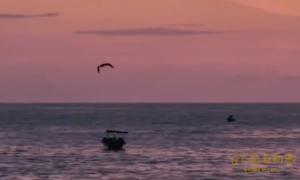 赛维舒压冥想系列,8集视频全-金色初恋