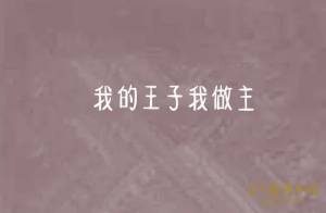 Chic原醉你的王子你做主-金色初恋