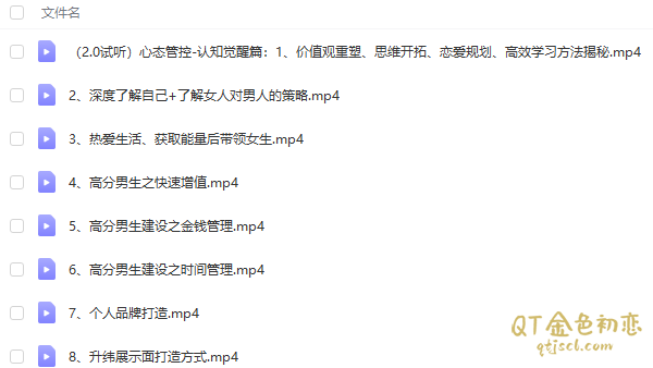高大橙重开计划2.0插图1