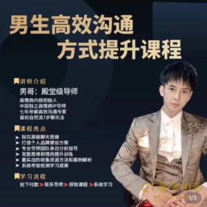 男哥高效沟通方式提升课程-金色初恋