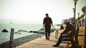 舞步学院迷宫私教勾心纬度-金色初恋