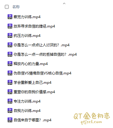 阿伦核心自信精进训练课插图1