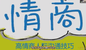 赵了了高情商沟通技巧-金色初恋