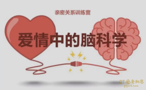 琳子博士脑科学亲密关系训练营22节完结-金色初恋