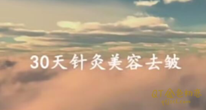 针灸美容美雕针面针30天针灸美容去皱教程视频-金色初恋